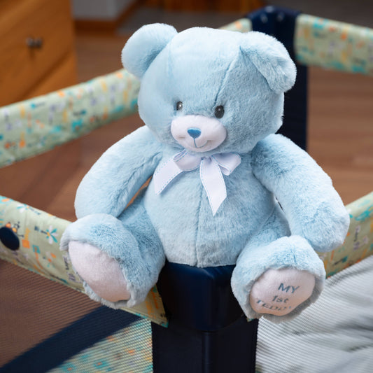 12" My First Teddy Bear Stuffed Animal - Blue