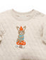Organic Applique Gnome Quilted Sweatshirt/Pant Set