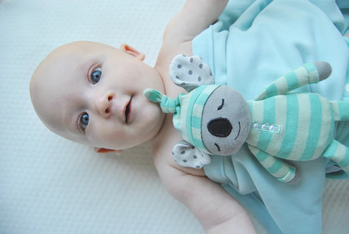 Organic Kozy Koala Plush Toy