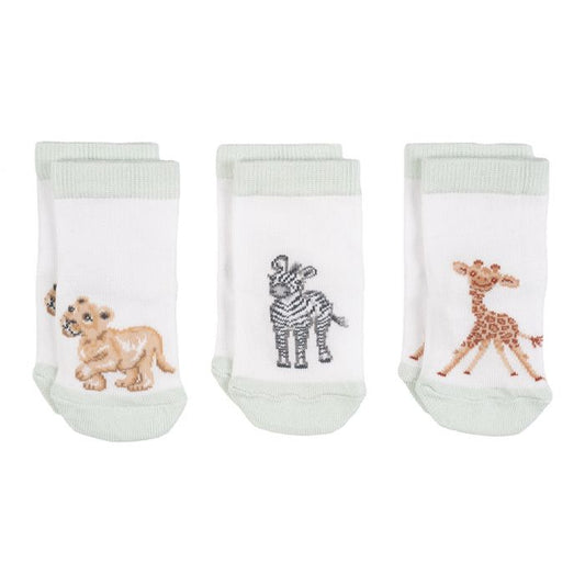 'Little Savannah' African Animal Baby Socks