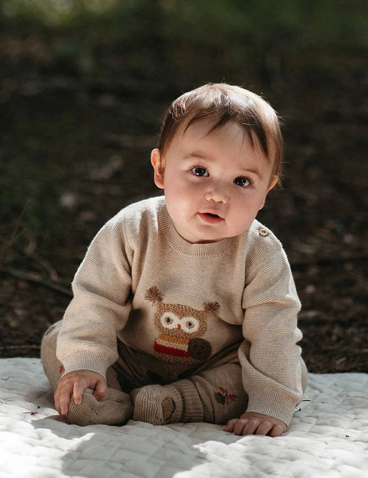 Organic Oatmeal Melange Applique Owl Sweater