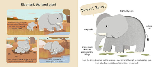 Touch and Explore: Safari Board Book