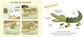 Touch and Explore: Safari Board Book