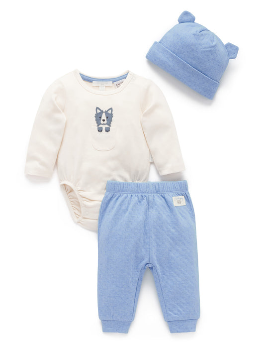 Organic 3 Piece Bodysuit/Pants/Hat Gift Set
