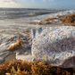 Oysters Large Travel Pouch