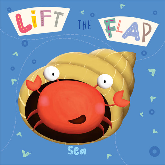 Lift-the-Flap Sea Book