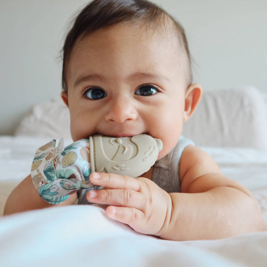 Sloth Teething Mitt