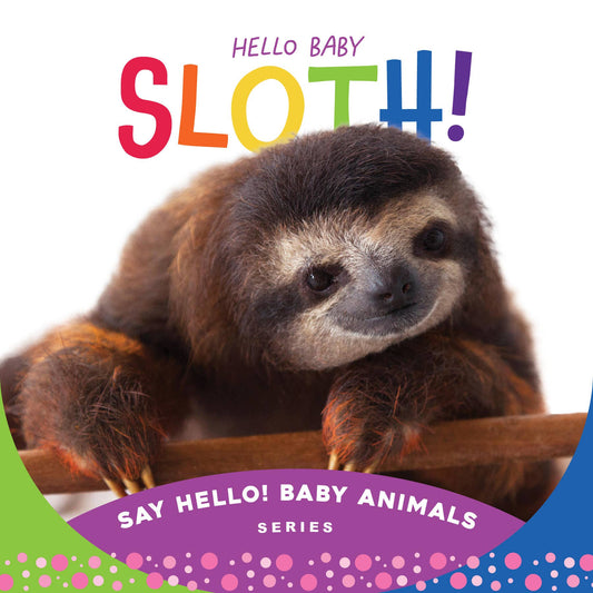 Hello Baby Sloth! Board Book