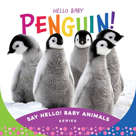 Hello Baby Penguin! Board Book