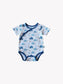 Shoulder Snap Short Sleeve Onesie - Toby Tortoise