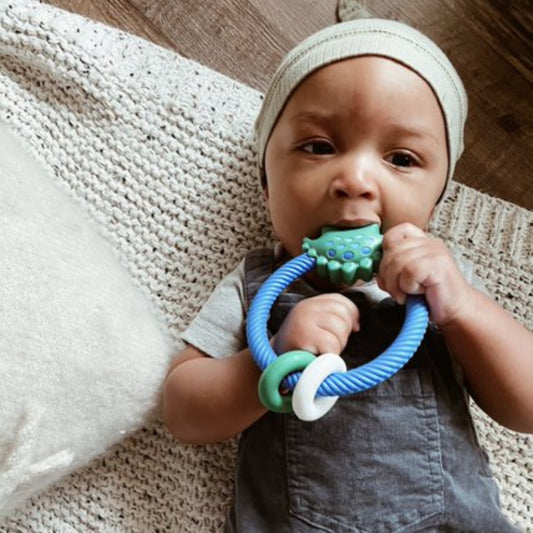 Ritzy Rattle™ Dino Silicone Teether Rattle