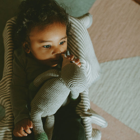 Knitted Hippo Rattle