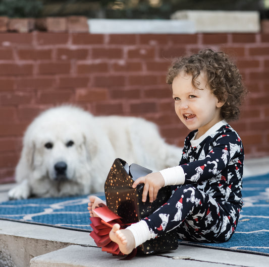 Santa Dogs 2PC Bamboo Pajamas